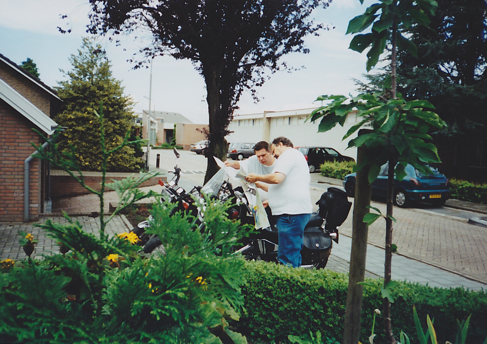 Comment image