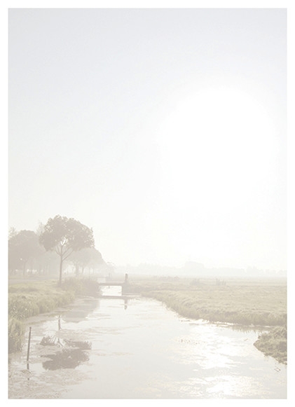 Brant Heidstra