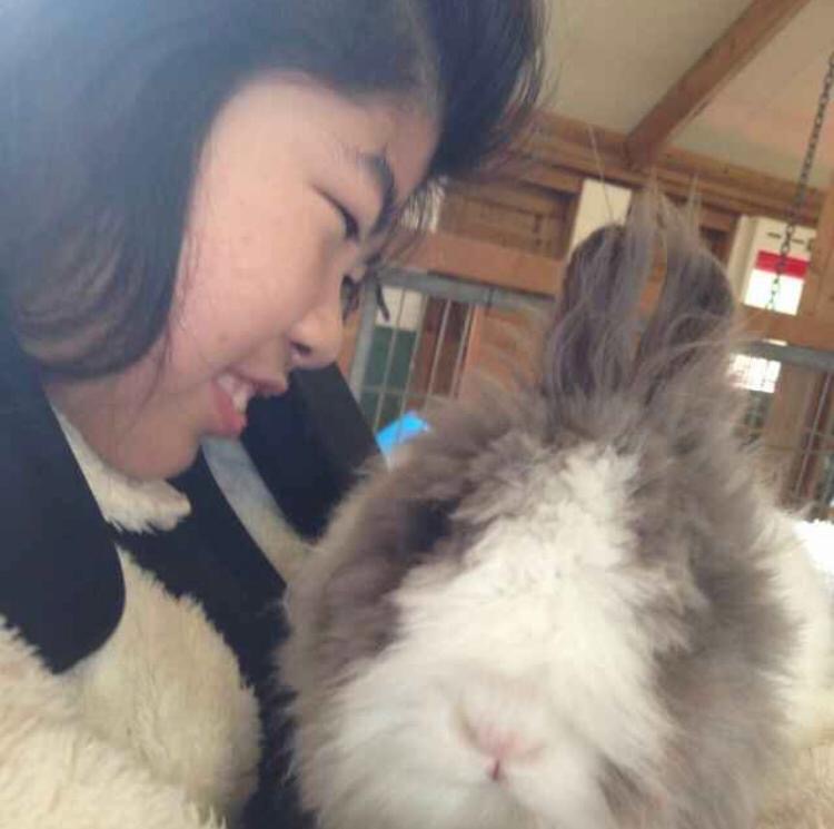 Xiao Yu Hiltony Chow