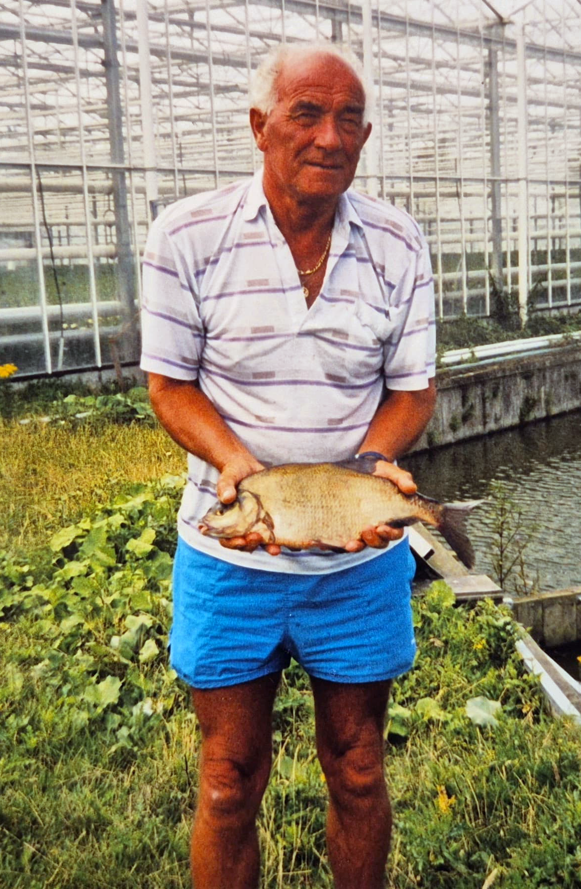 Kees Buitelaar