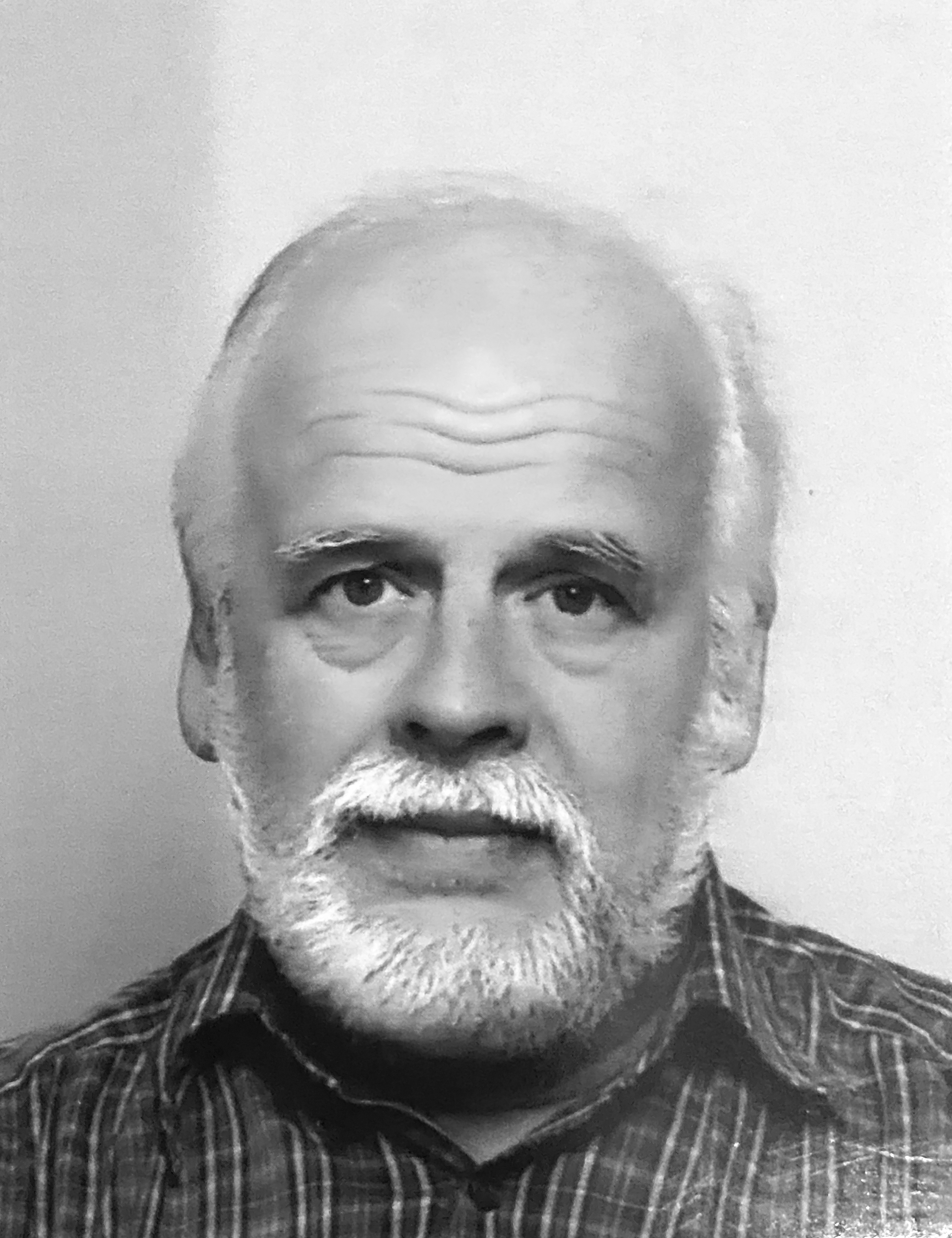 andries hammer
