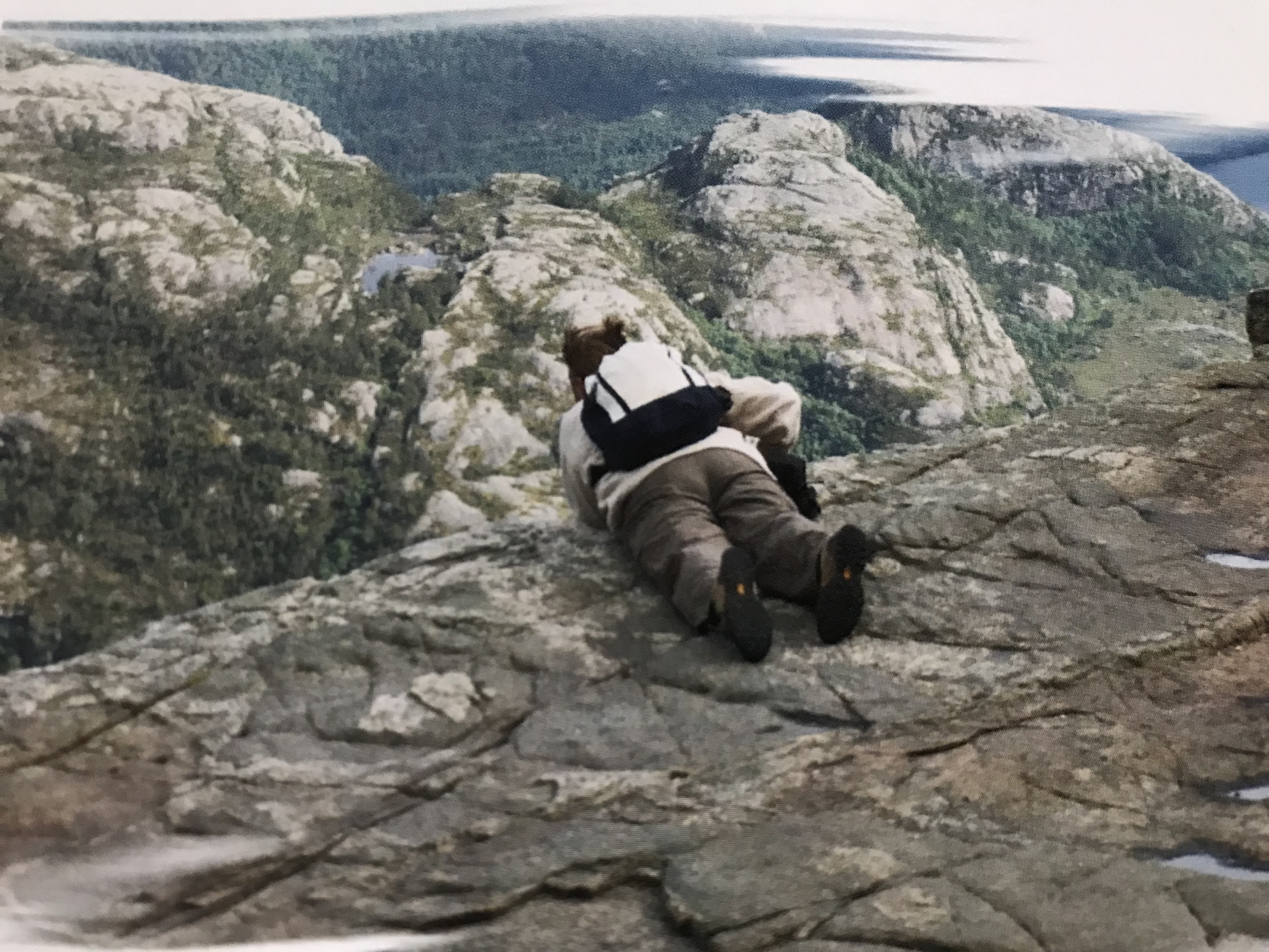 Comment image