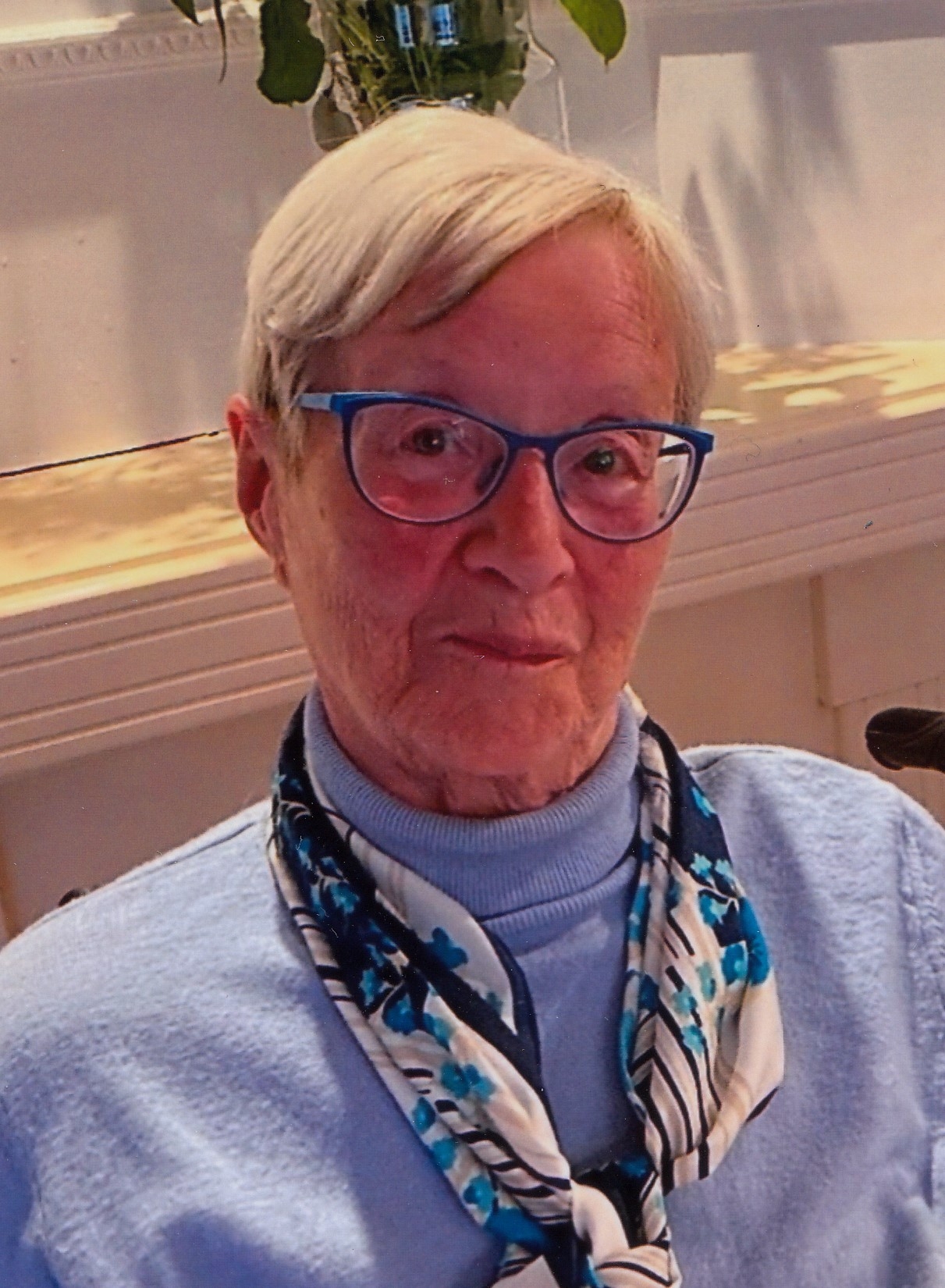 Ine van de Lustgraaf
