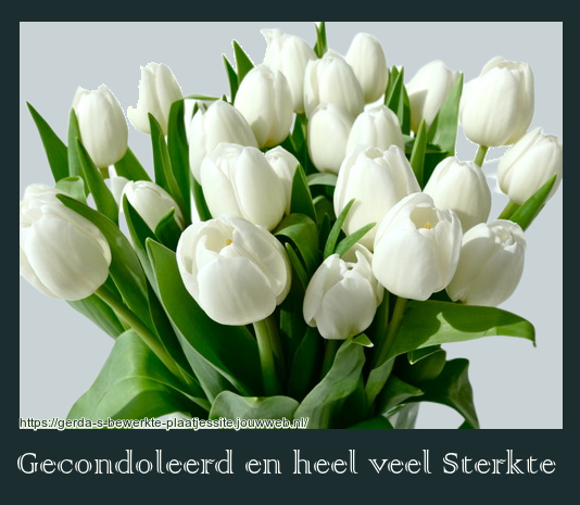 Comment image