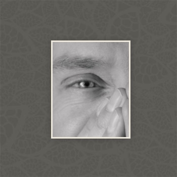 Gallery foto