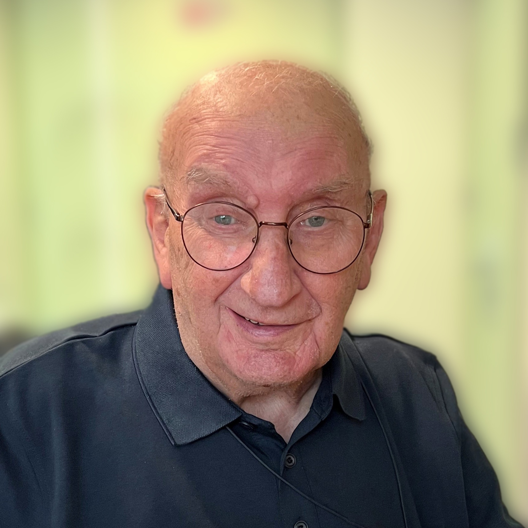 Jan van de Ven