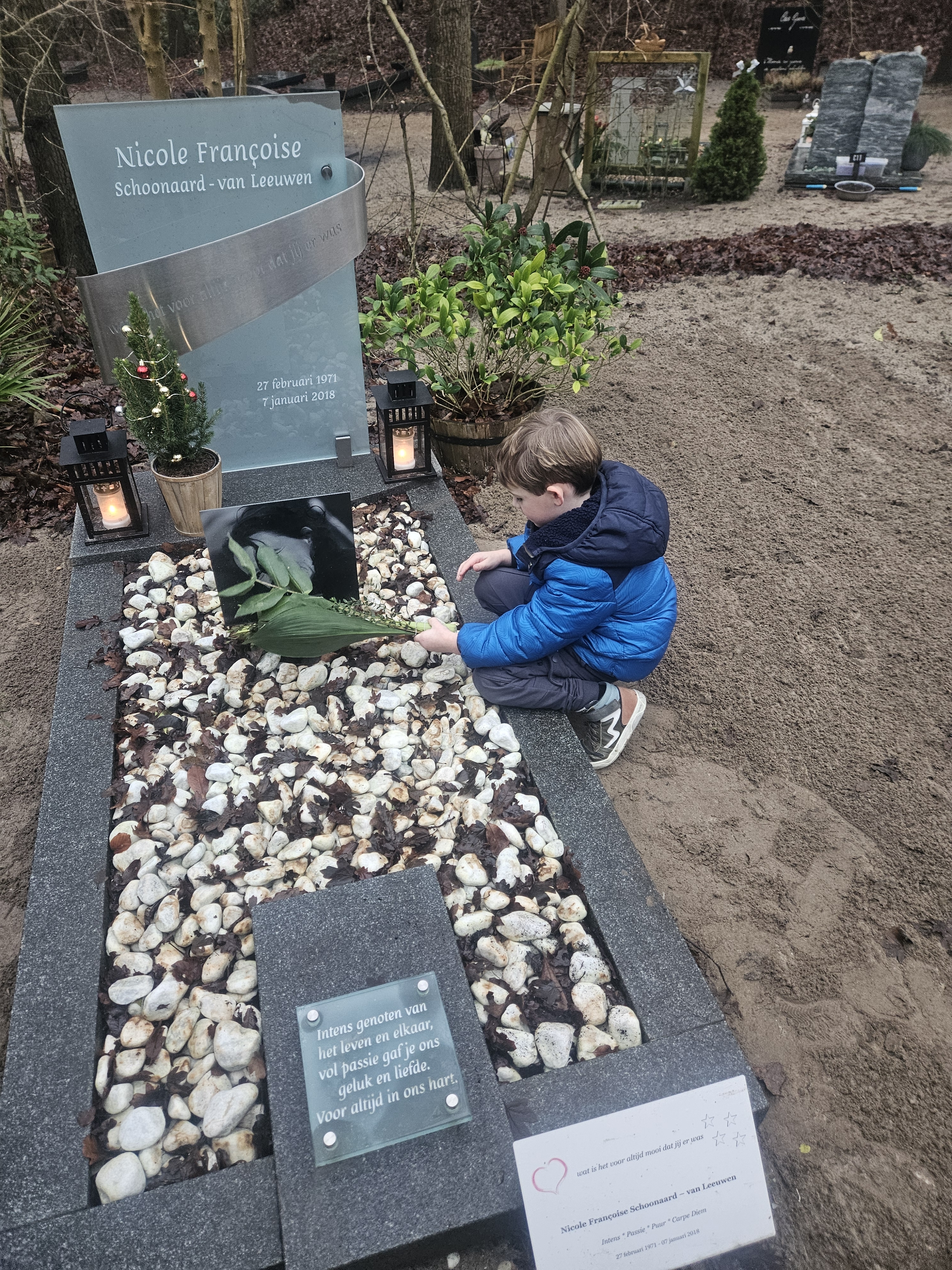 Comment image