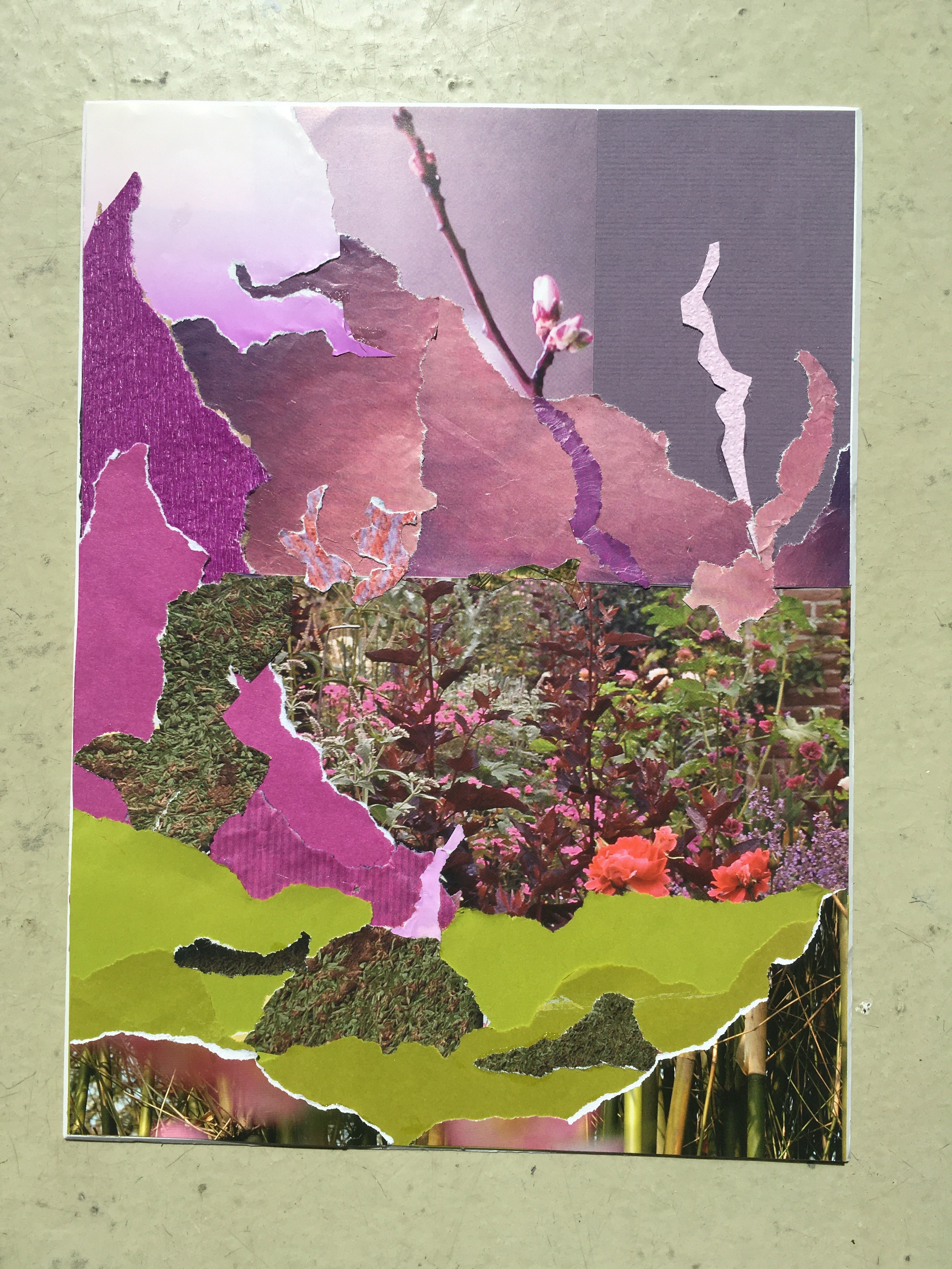 Comment image
