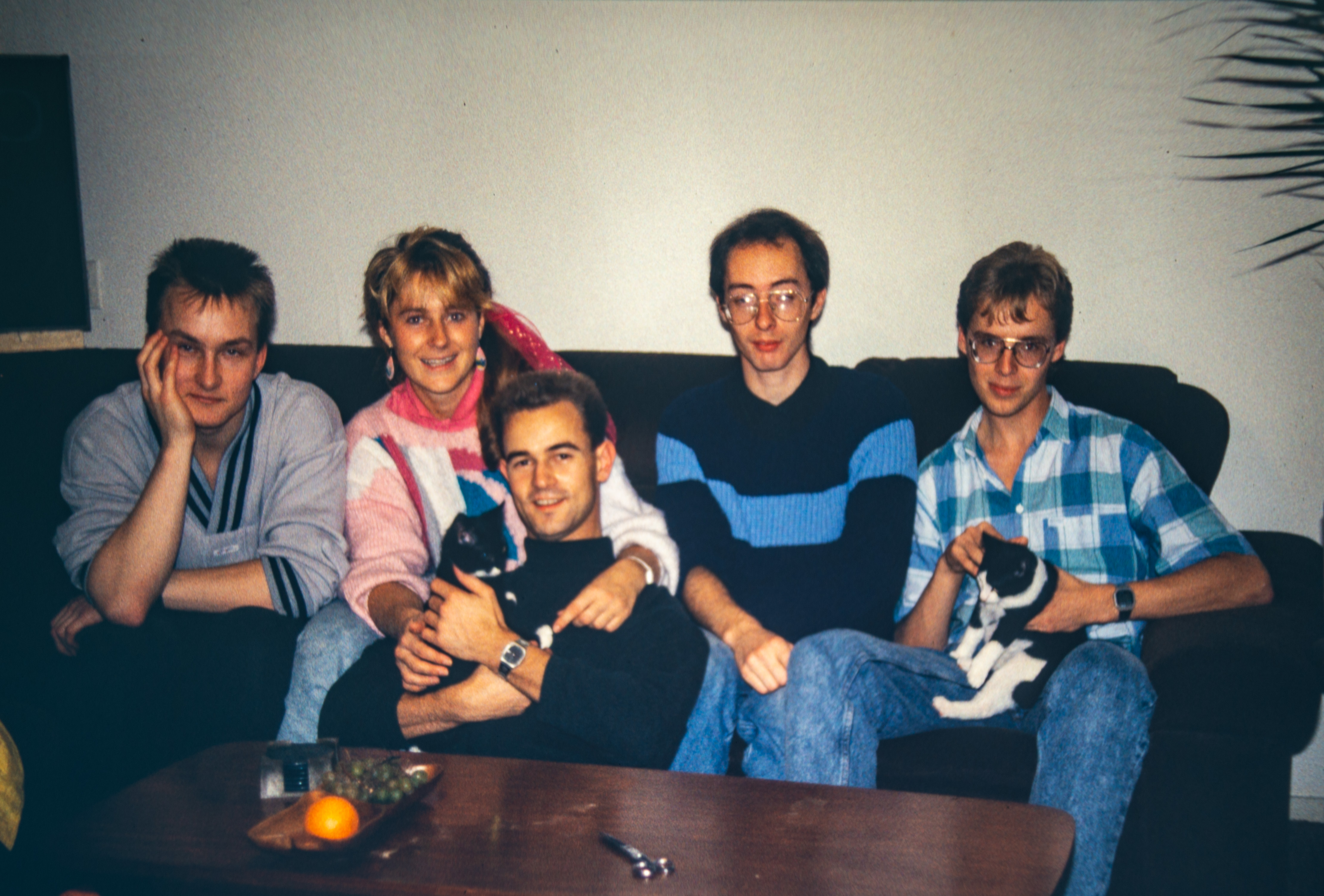 Comment image
