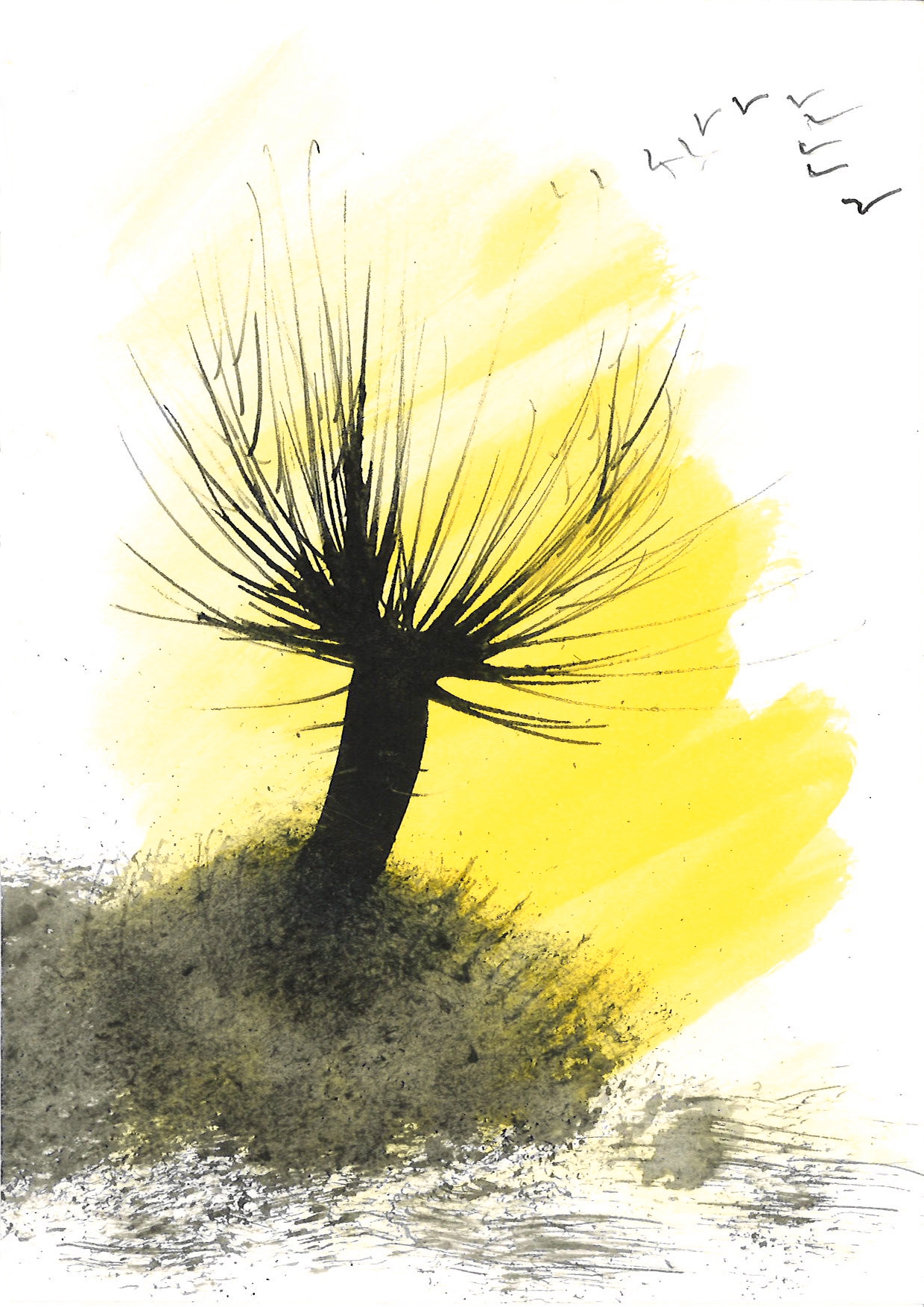 Ireen Folkerts