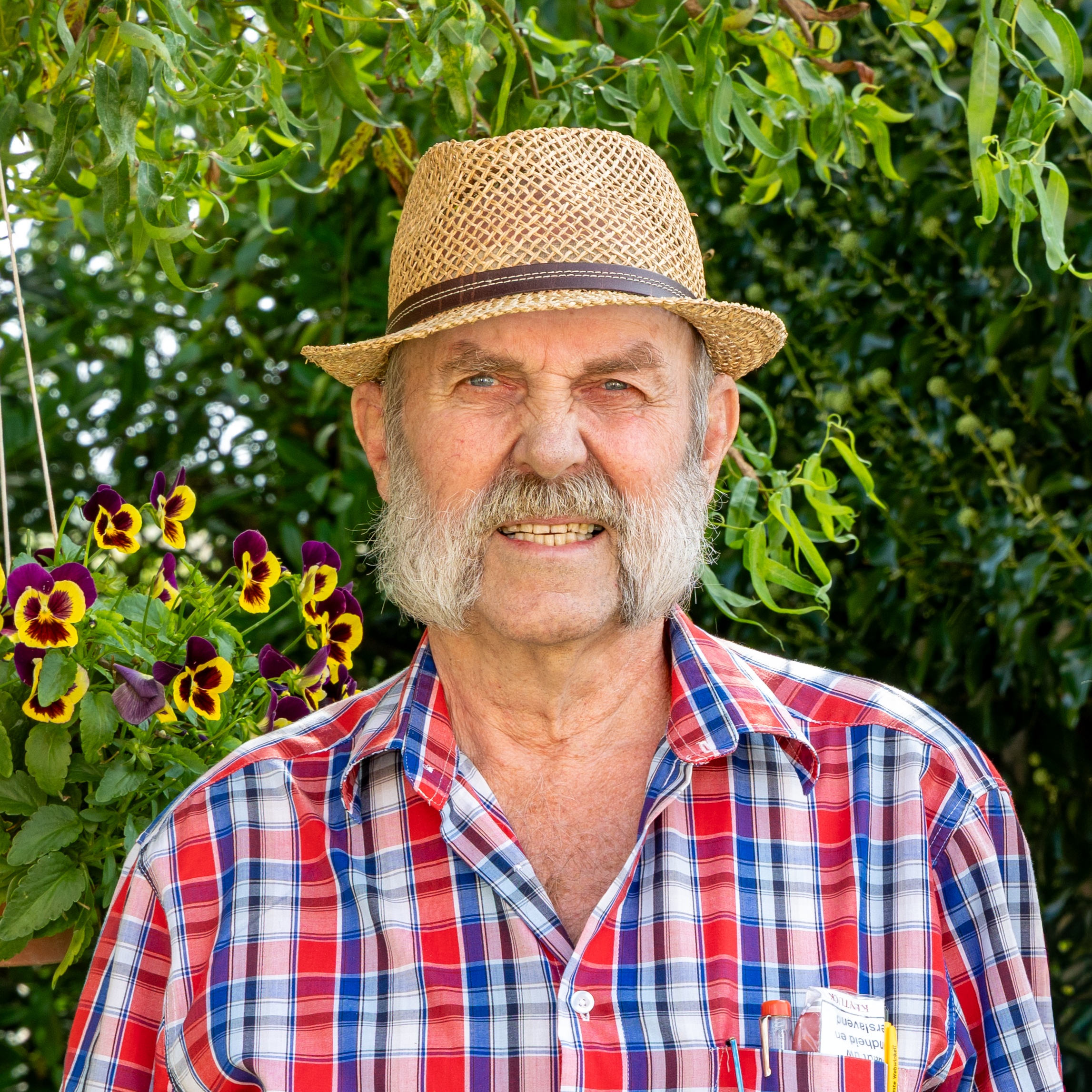 Pieter Korteweg