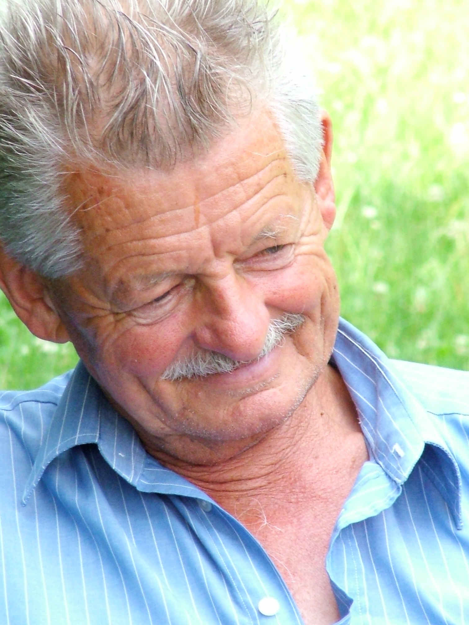 Gallery foto
