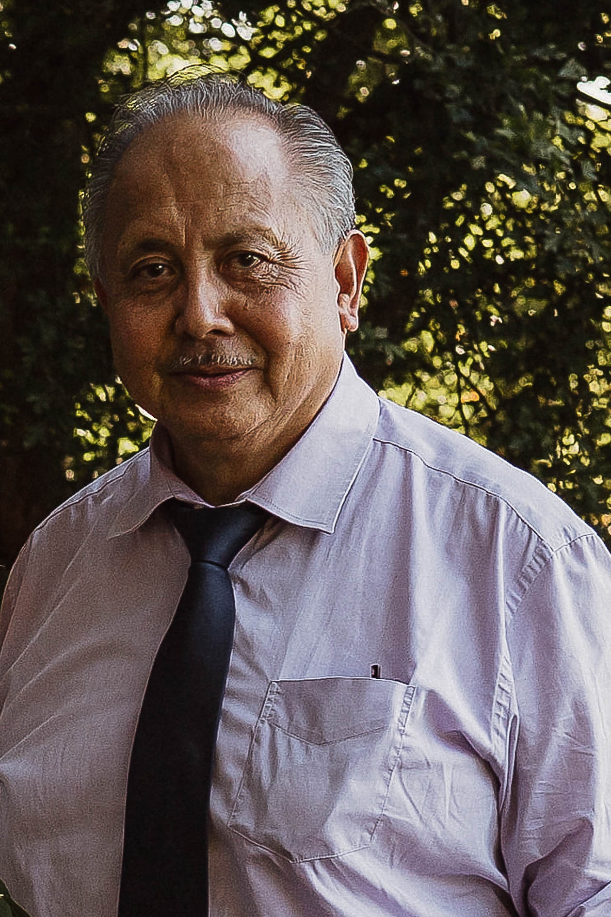 Robert Tulis
