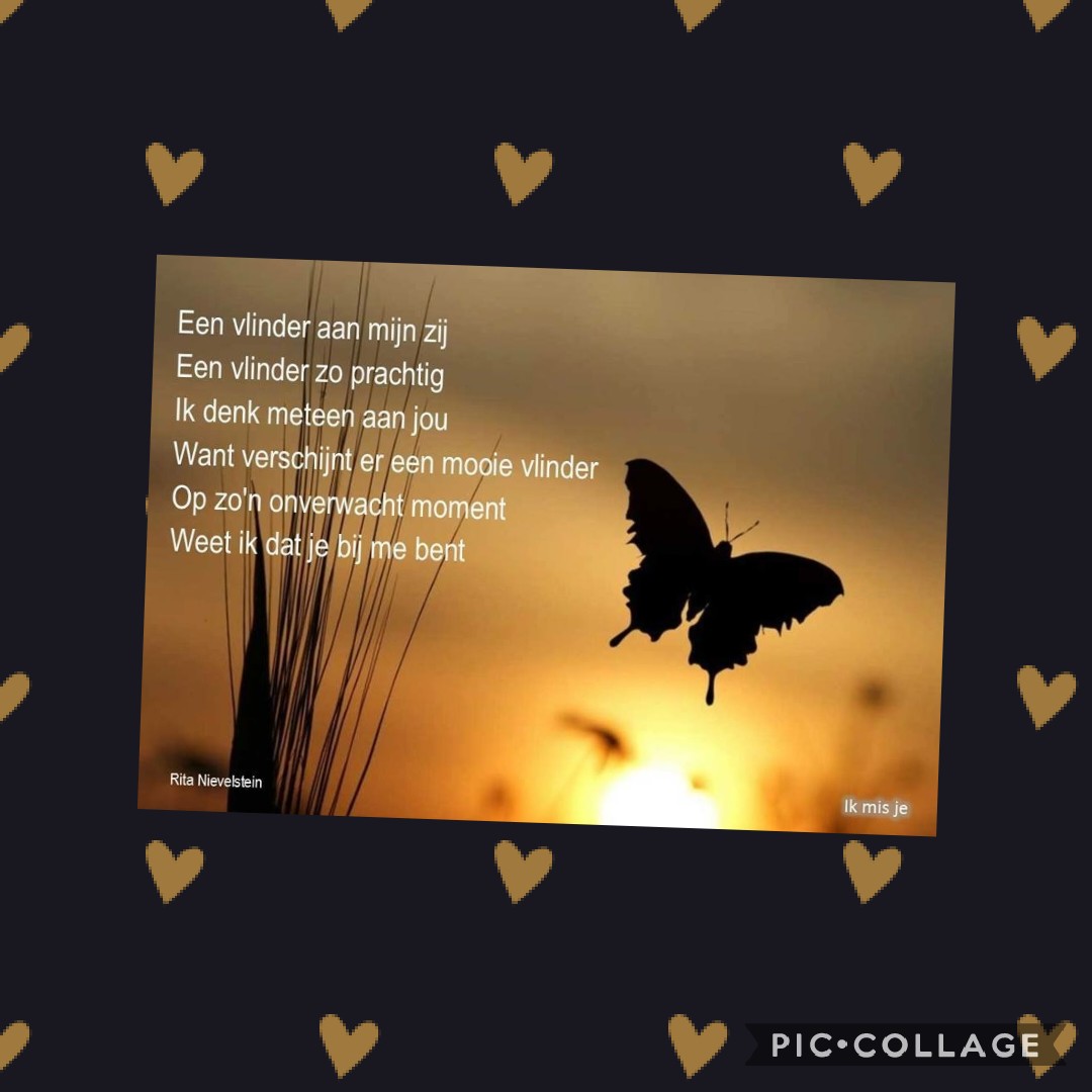 Comment image