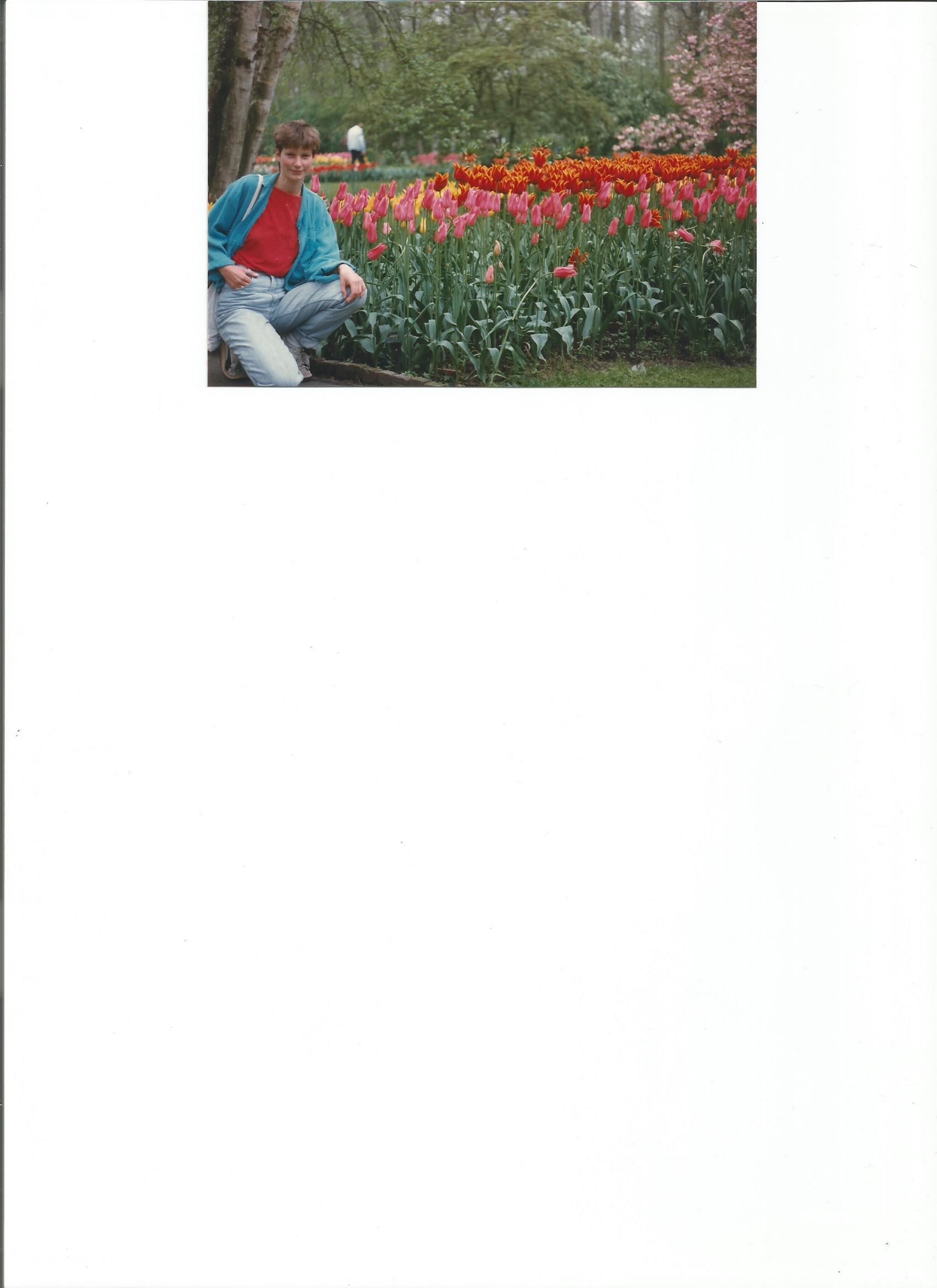 Comment image