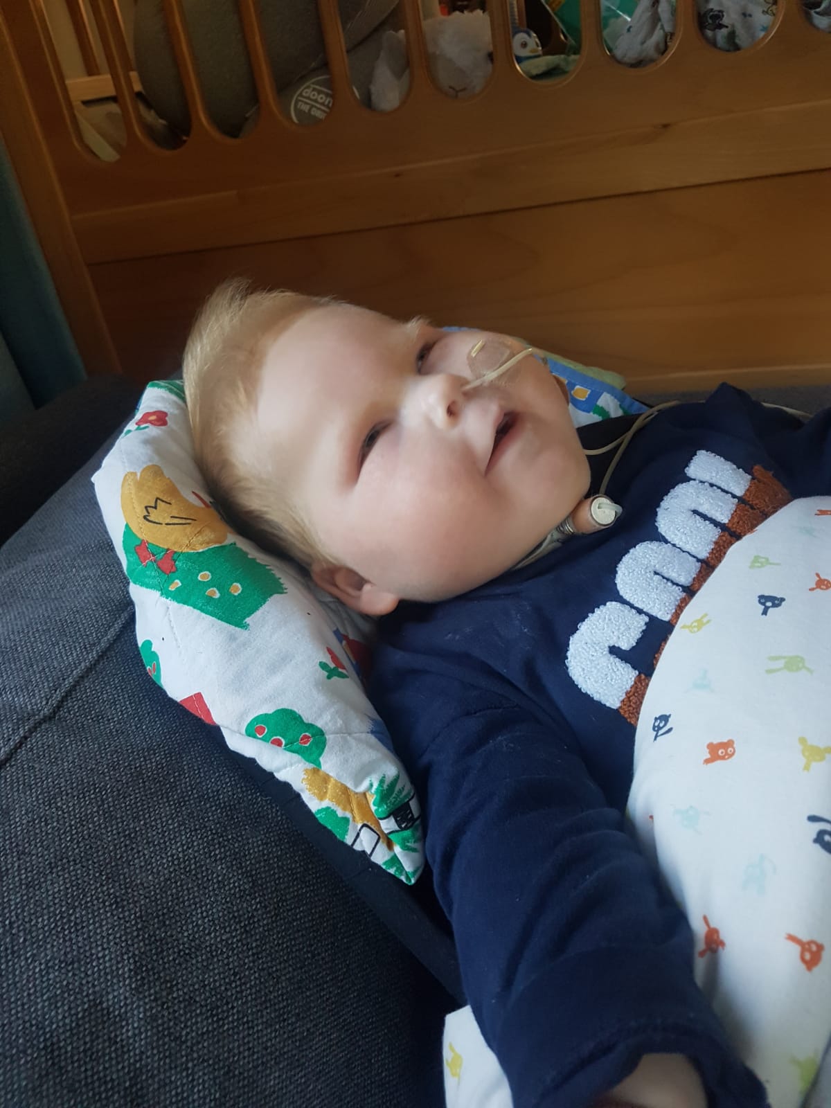 Gallery foto