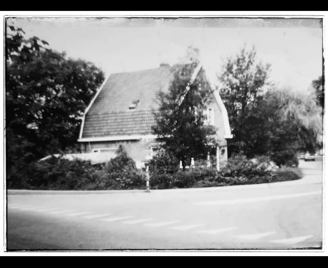 Gallery foto