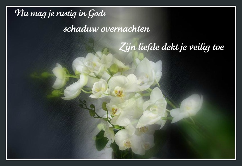 Comment image