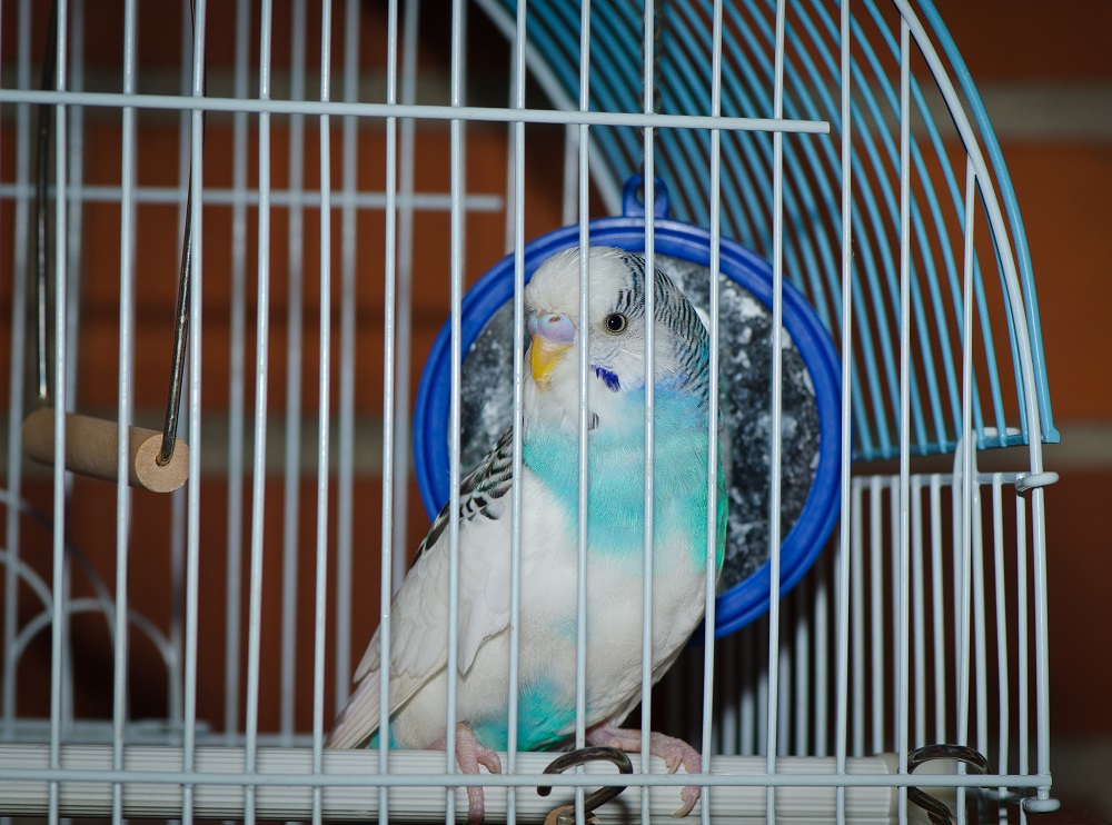Gallery foto