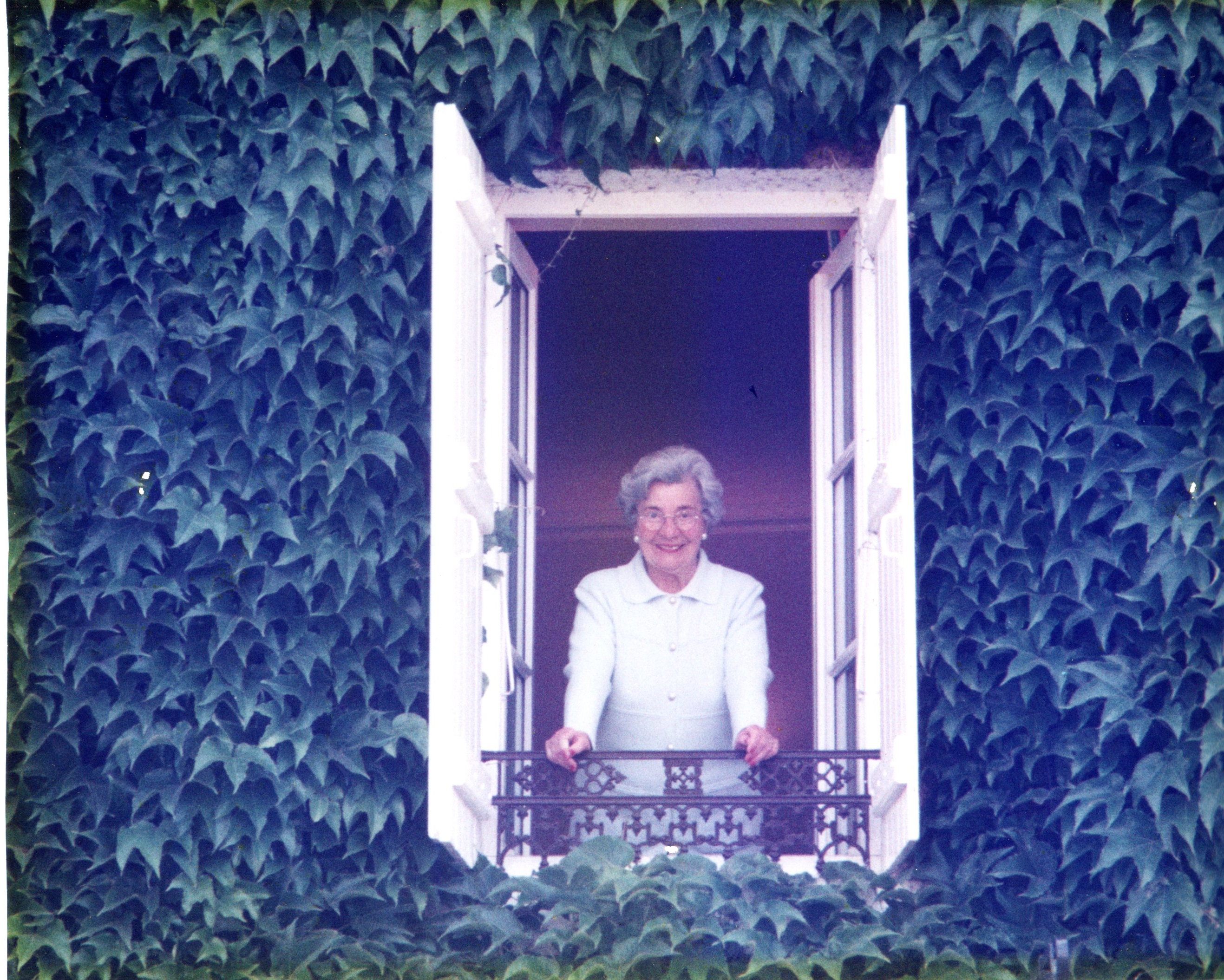 An van Hout-Zeeuwen