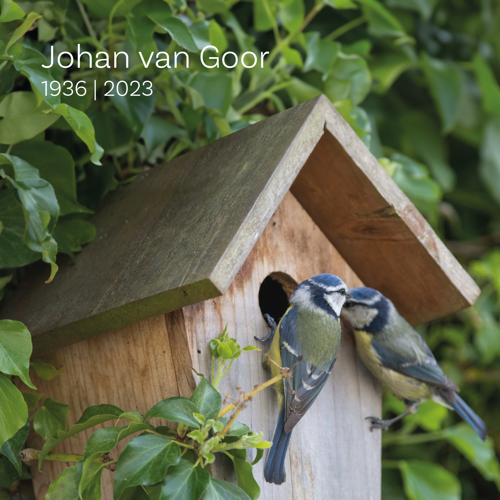Johan van Goor