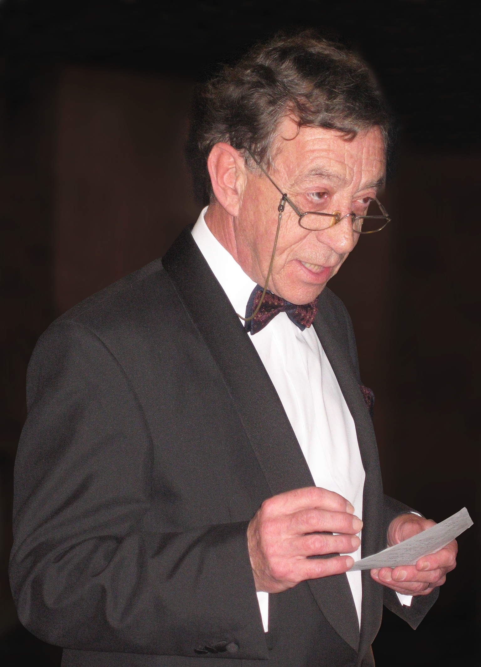 Karel van de Loo