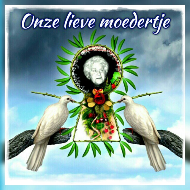 Comment image