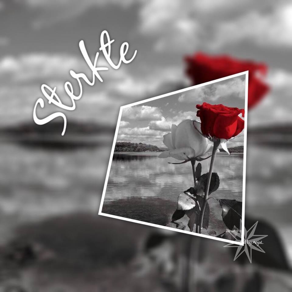 Comment image