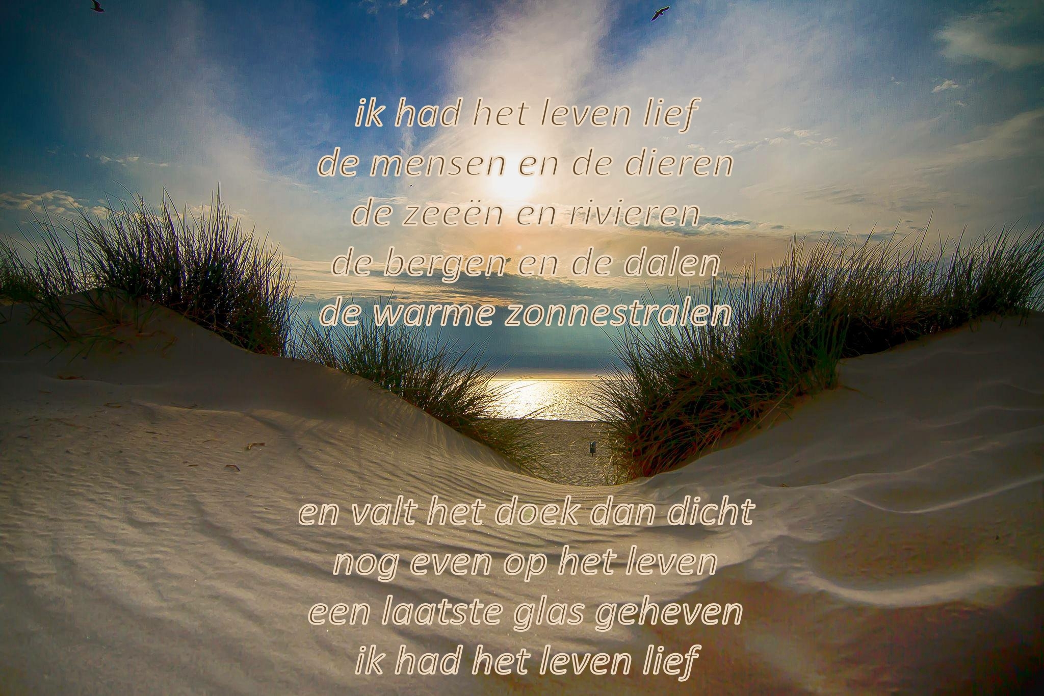 Comment image