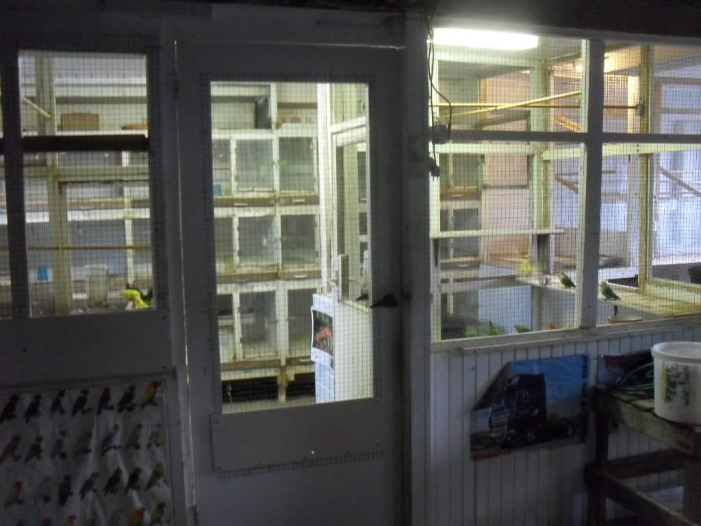Gallery foto