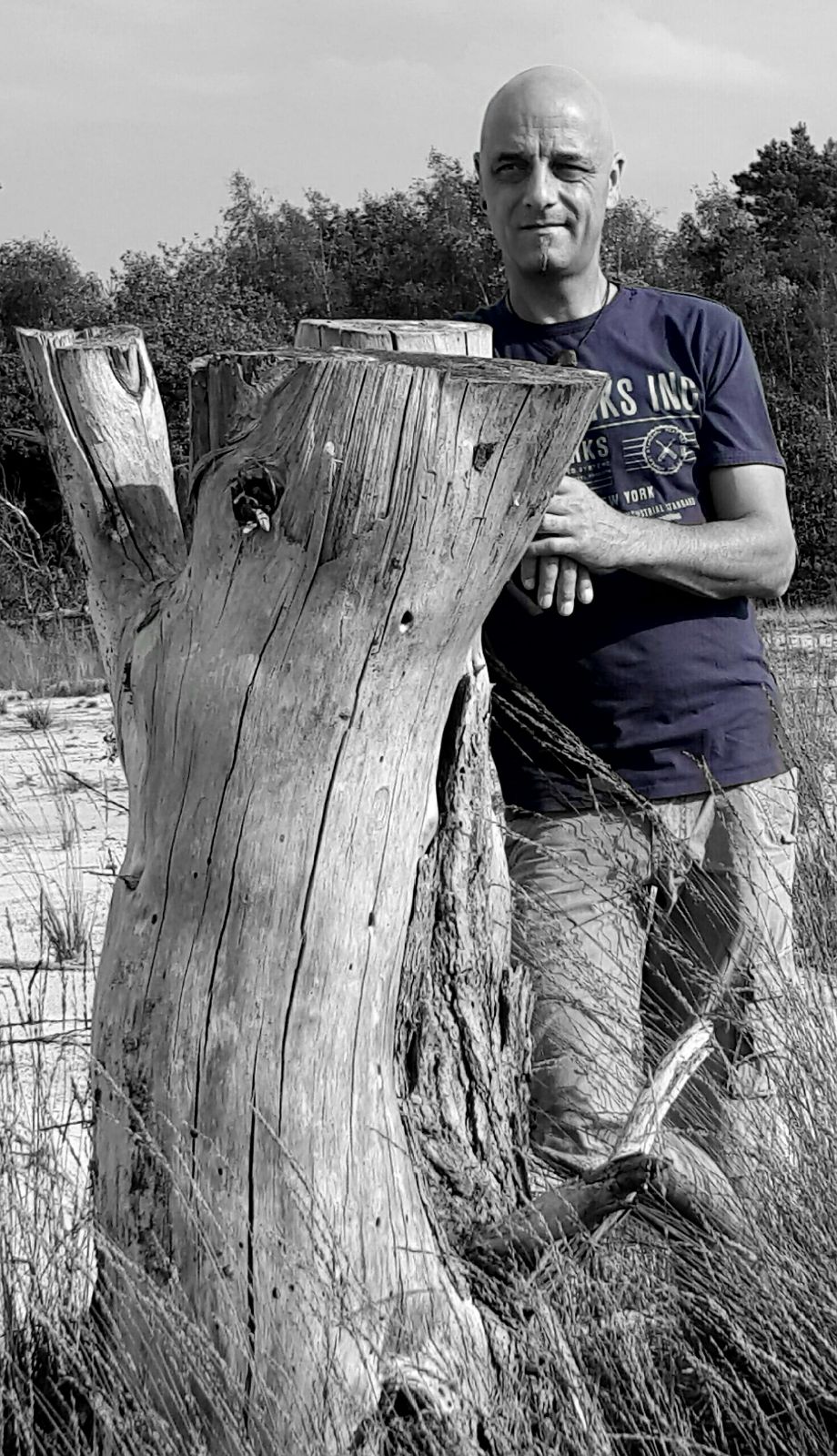 Gallery foto