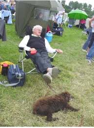 Comment image