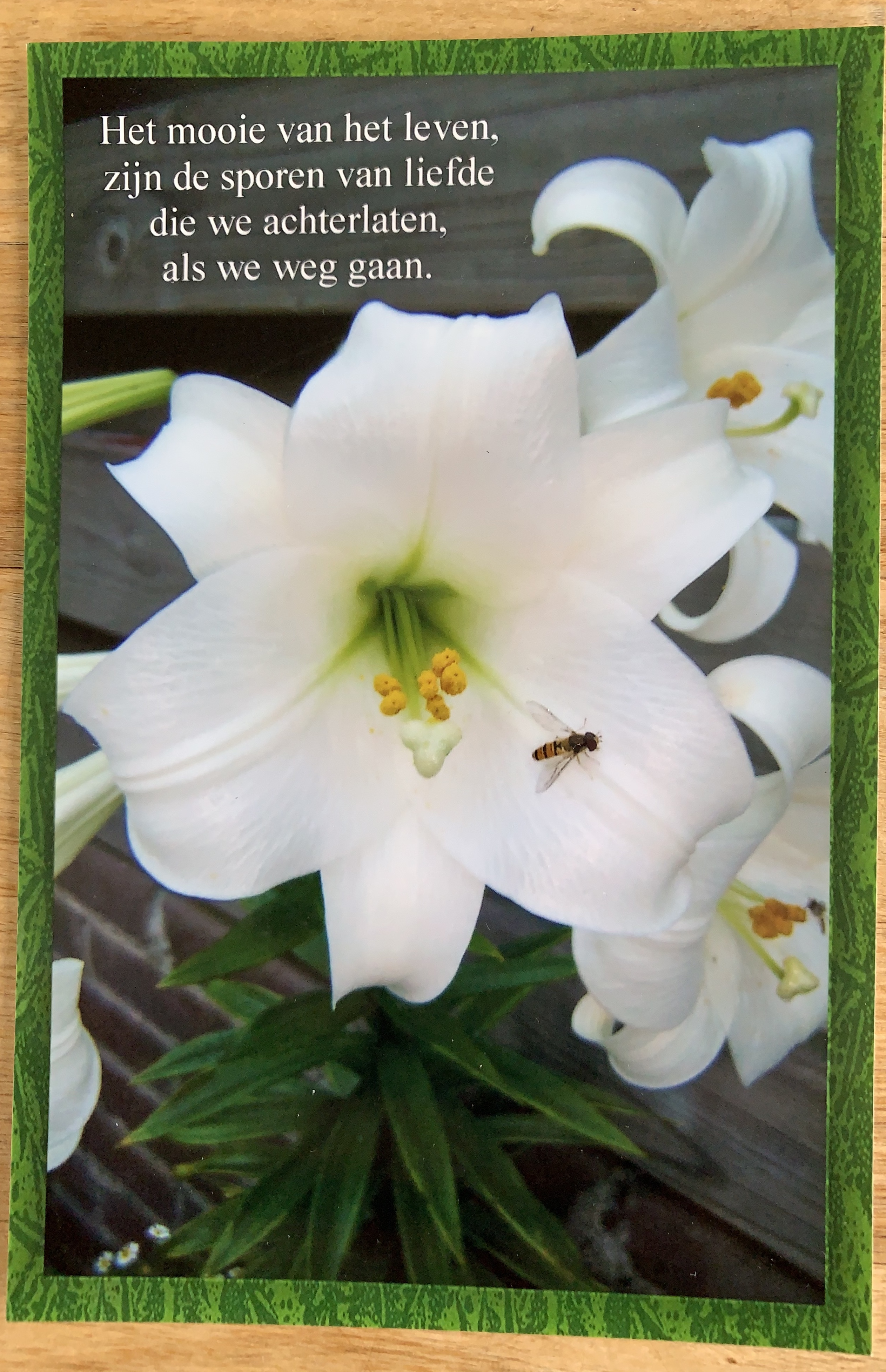 Comment image
