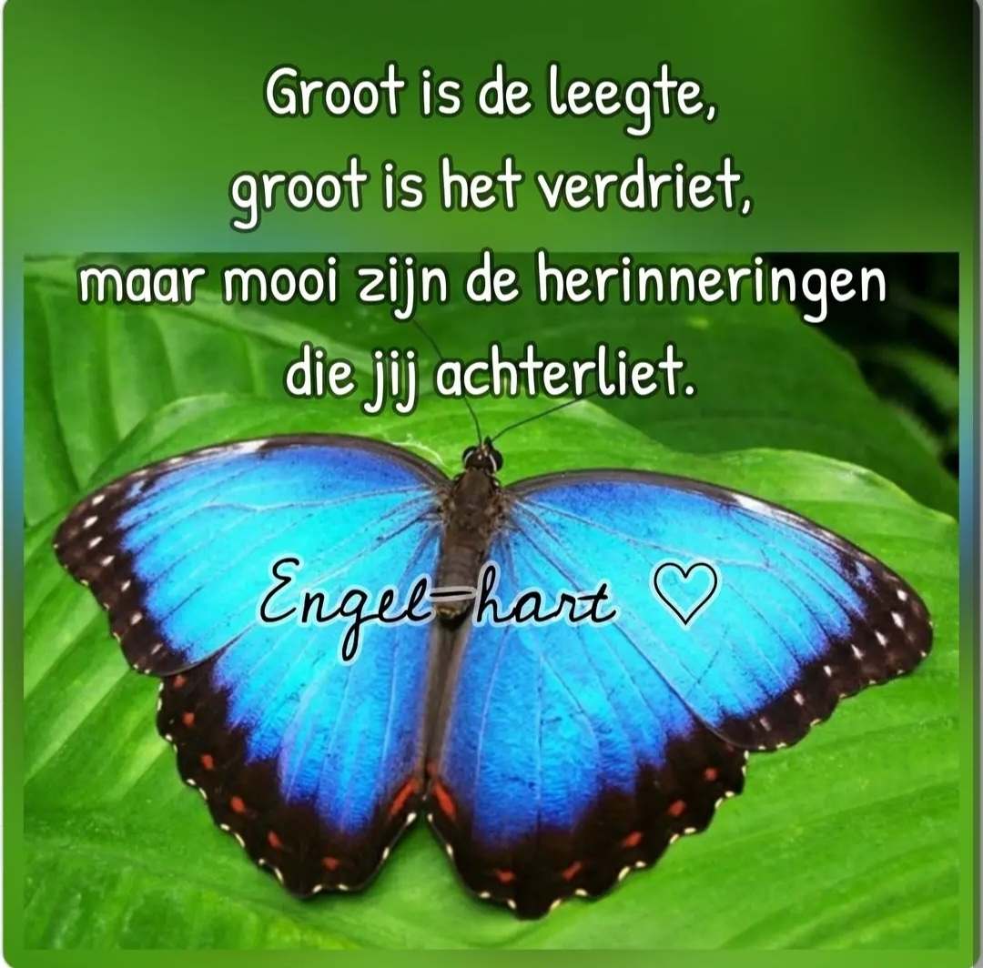 Comment image
