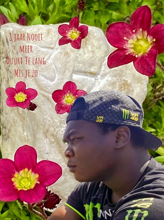 Comment image