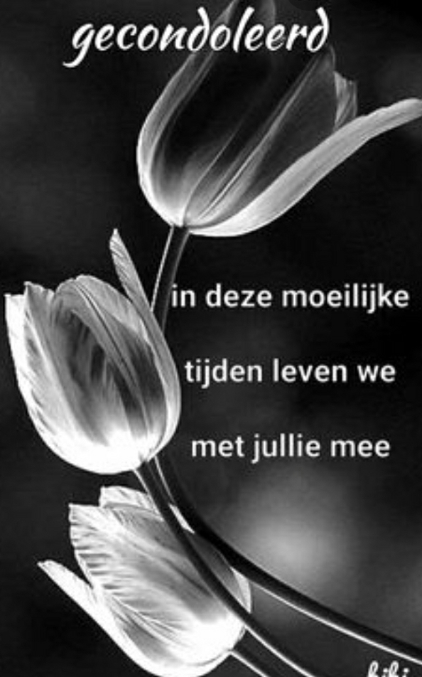 Comment image