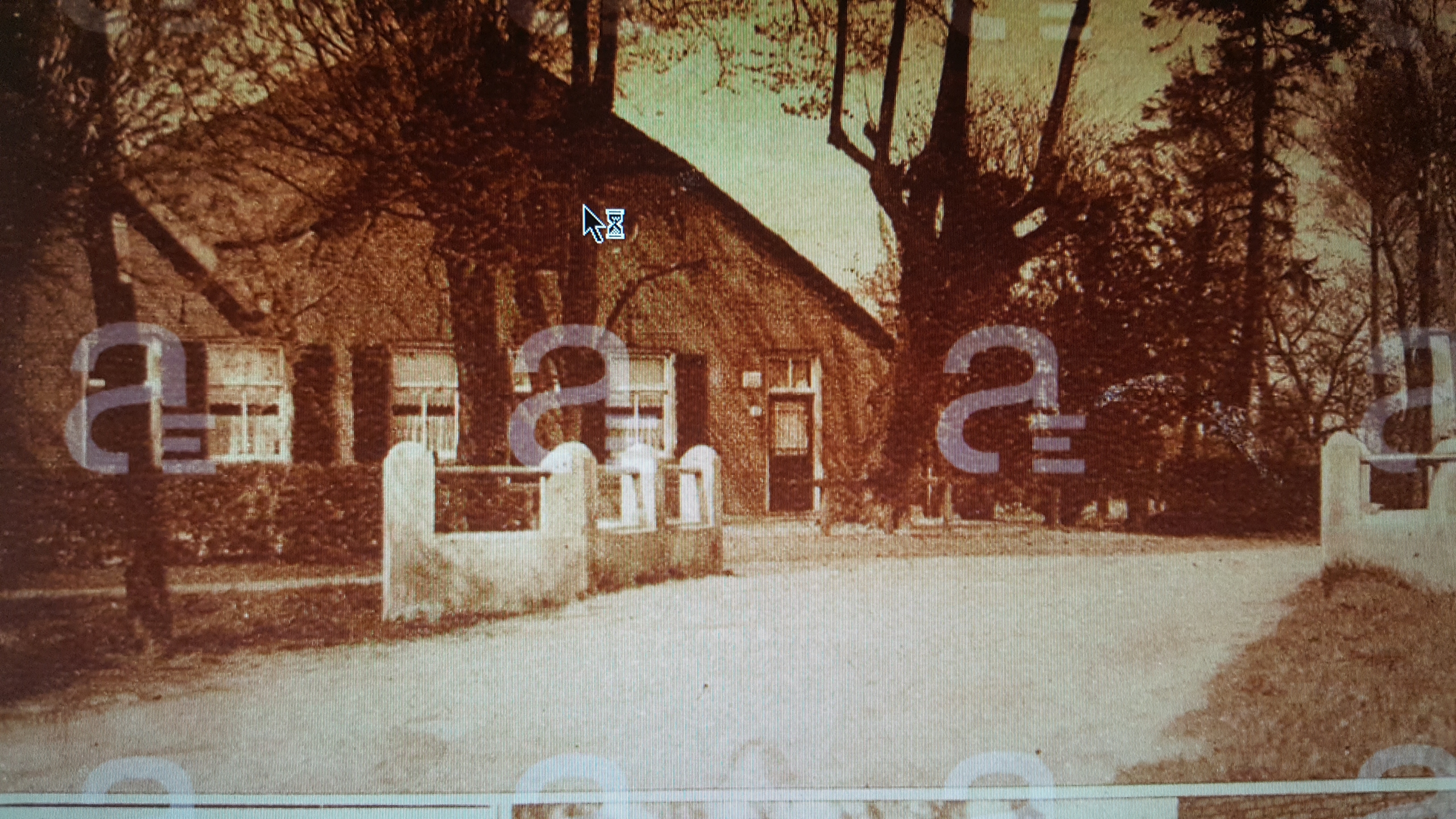 Gallery foto