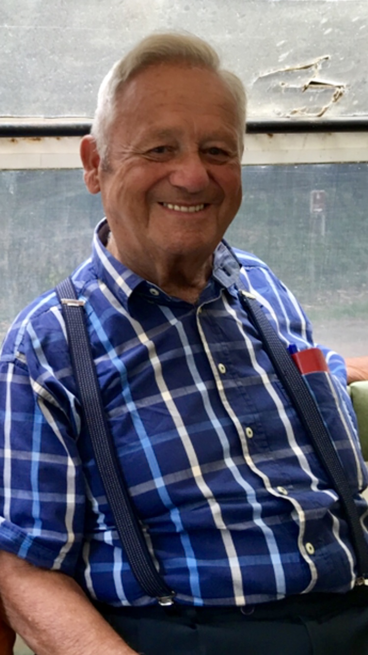 Frits Beulen