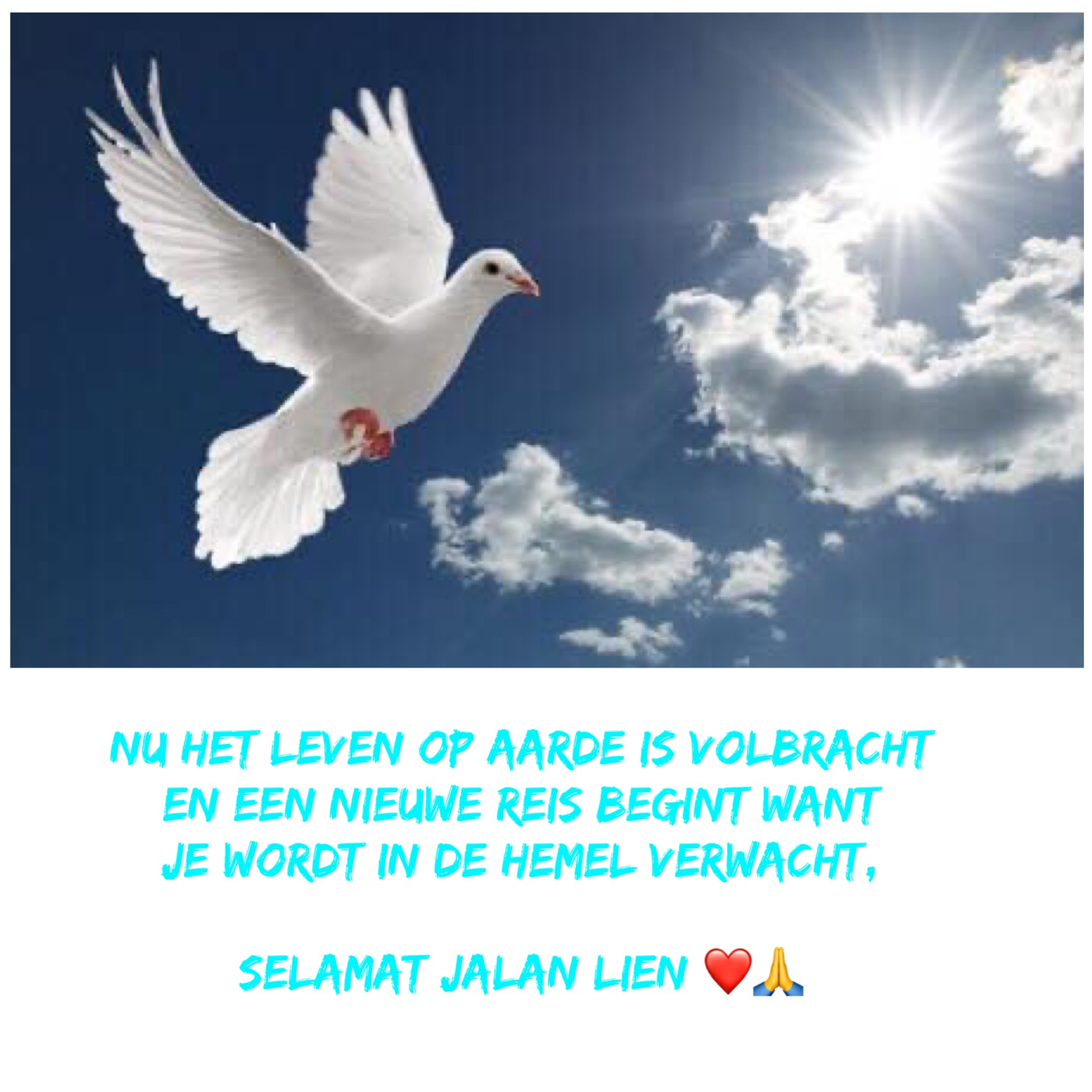 Comment image