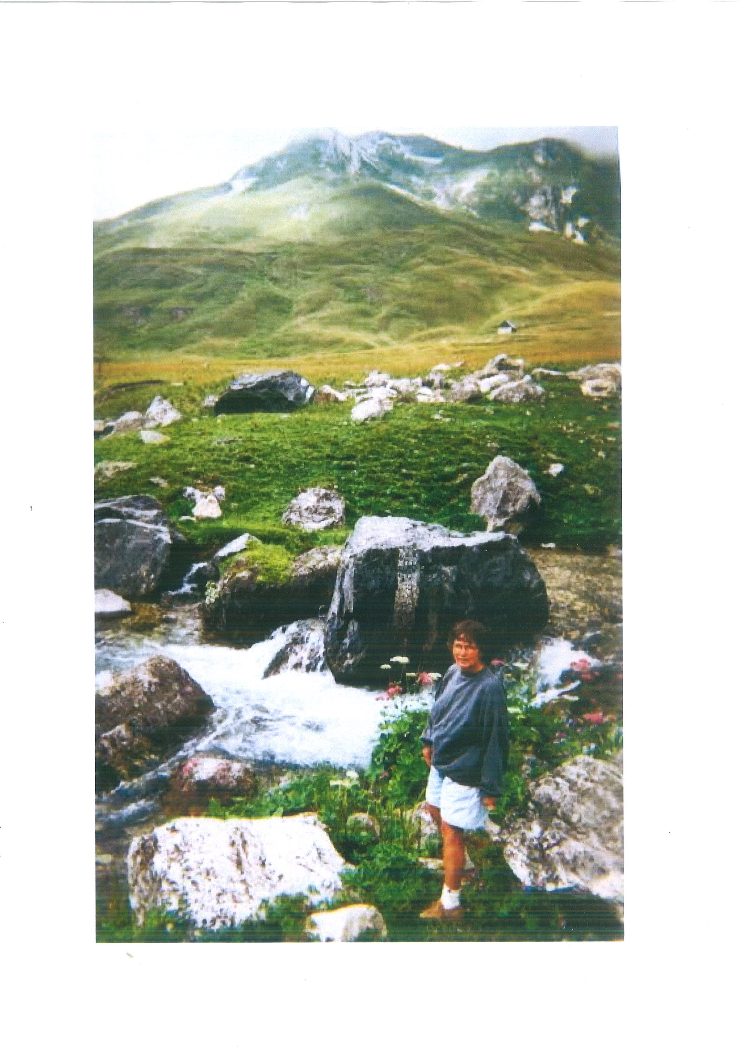 Ank van der Veen - Bos