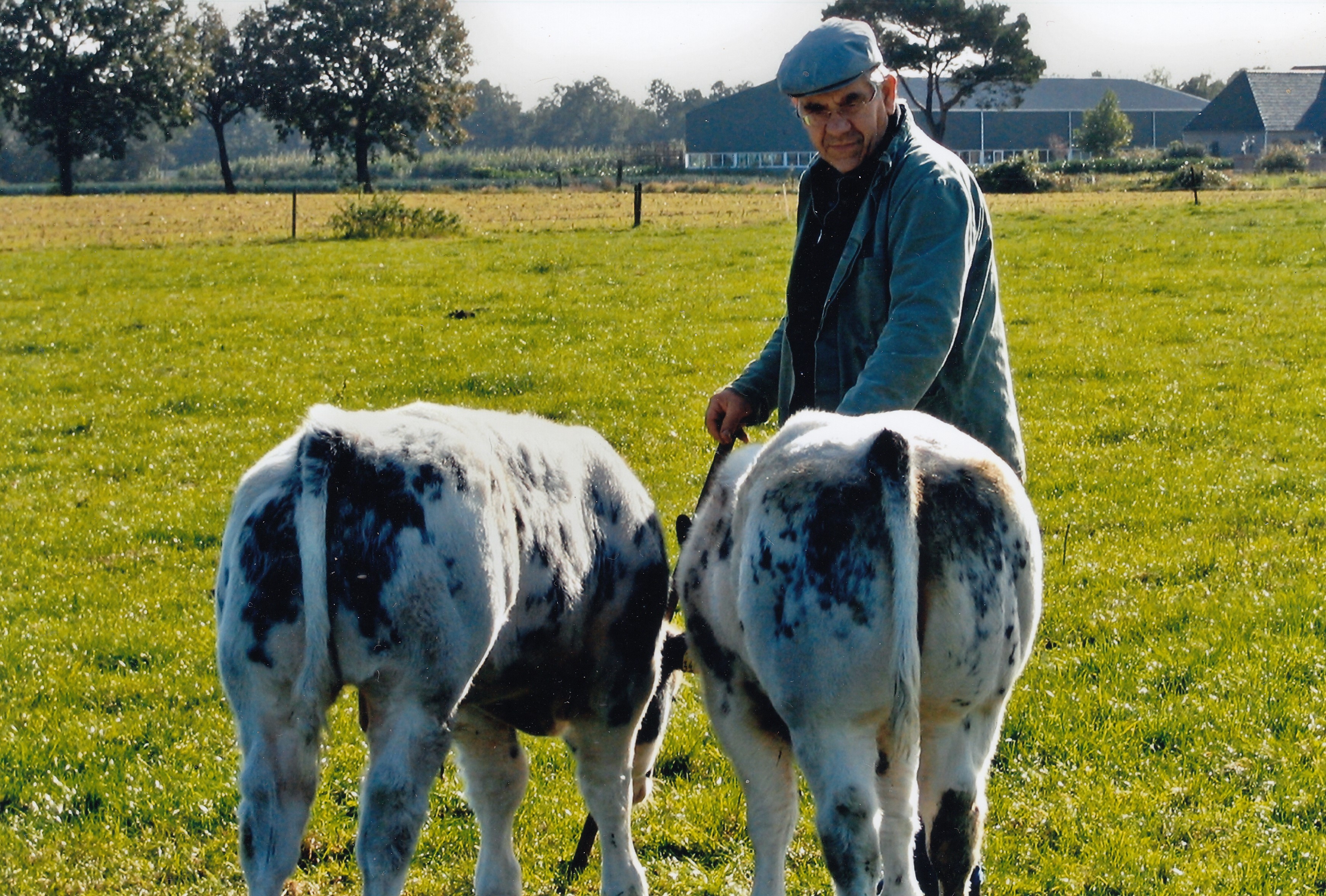 Piet Oomen