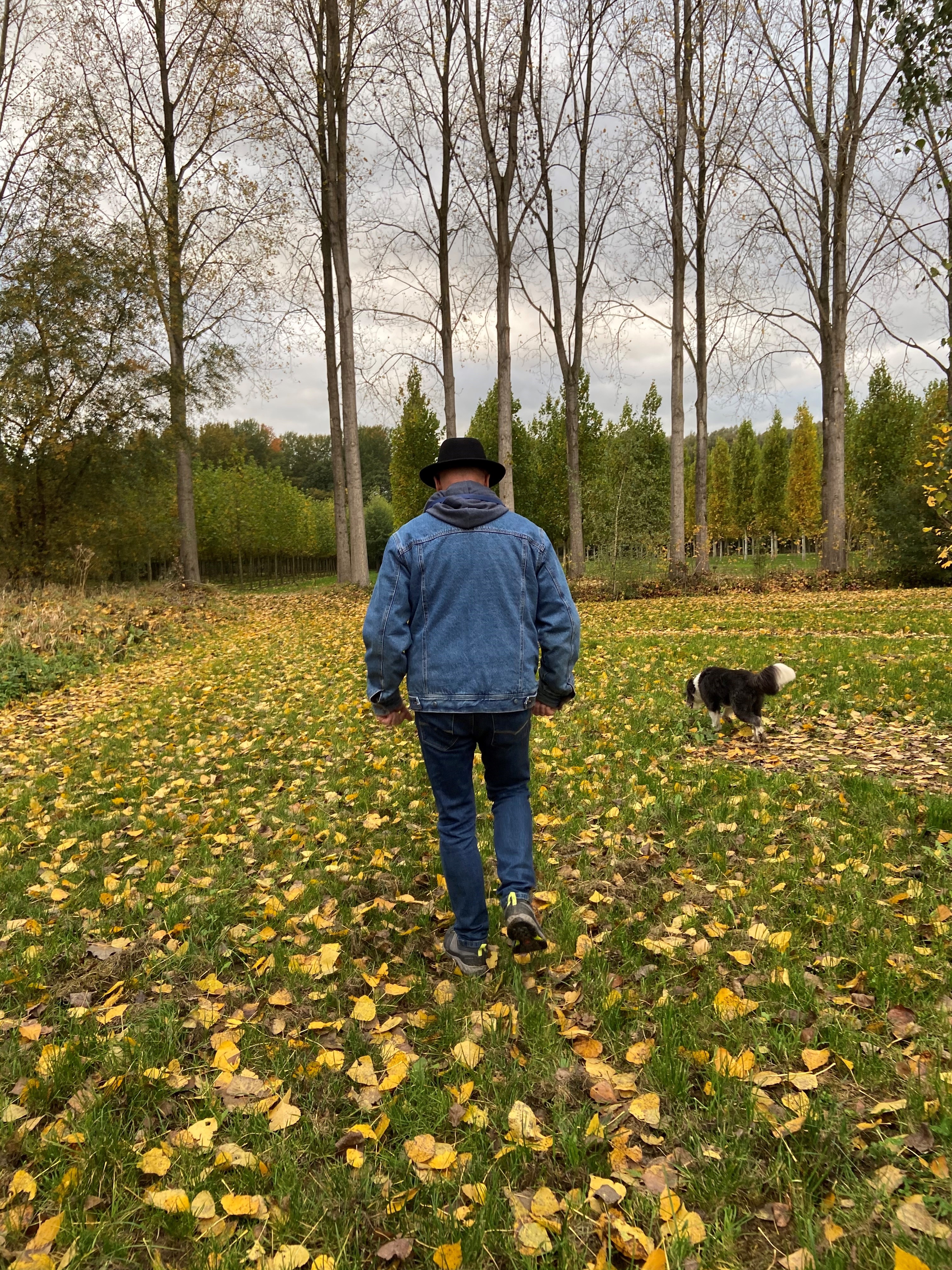 Erik van den Akker