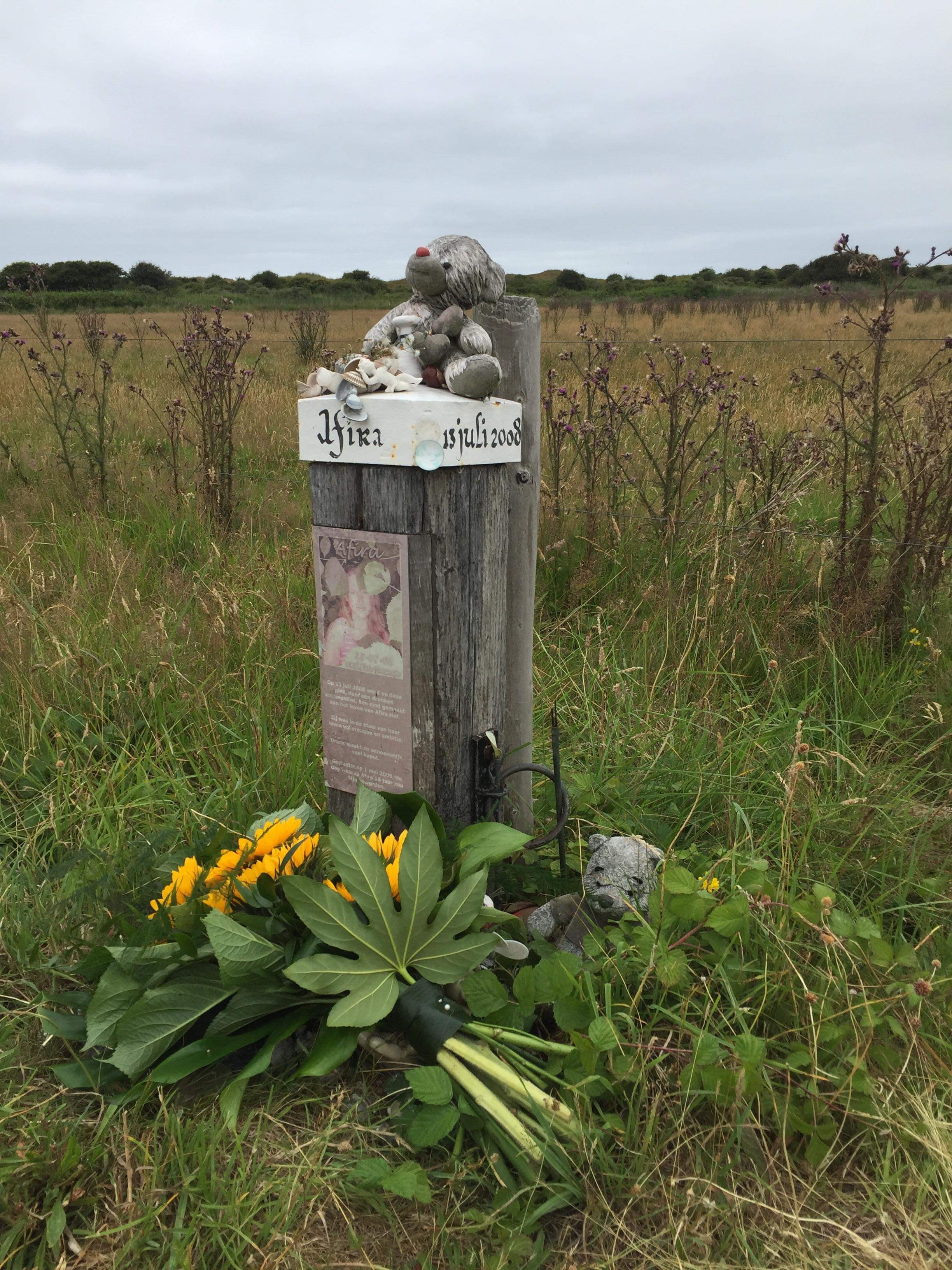 Comment image