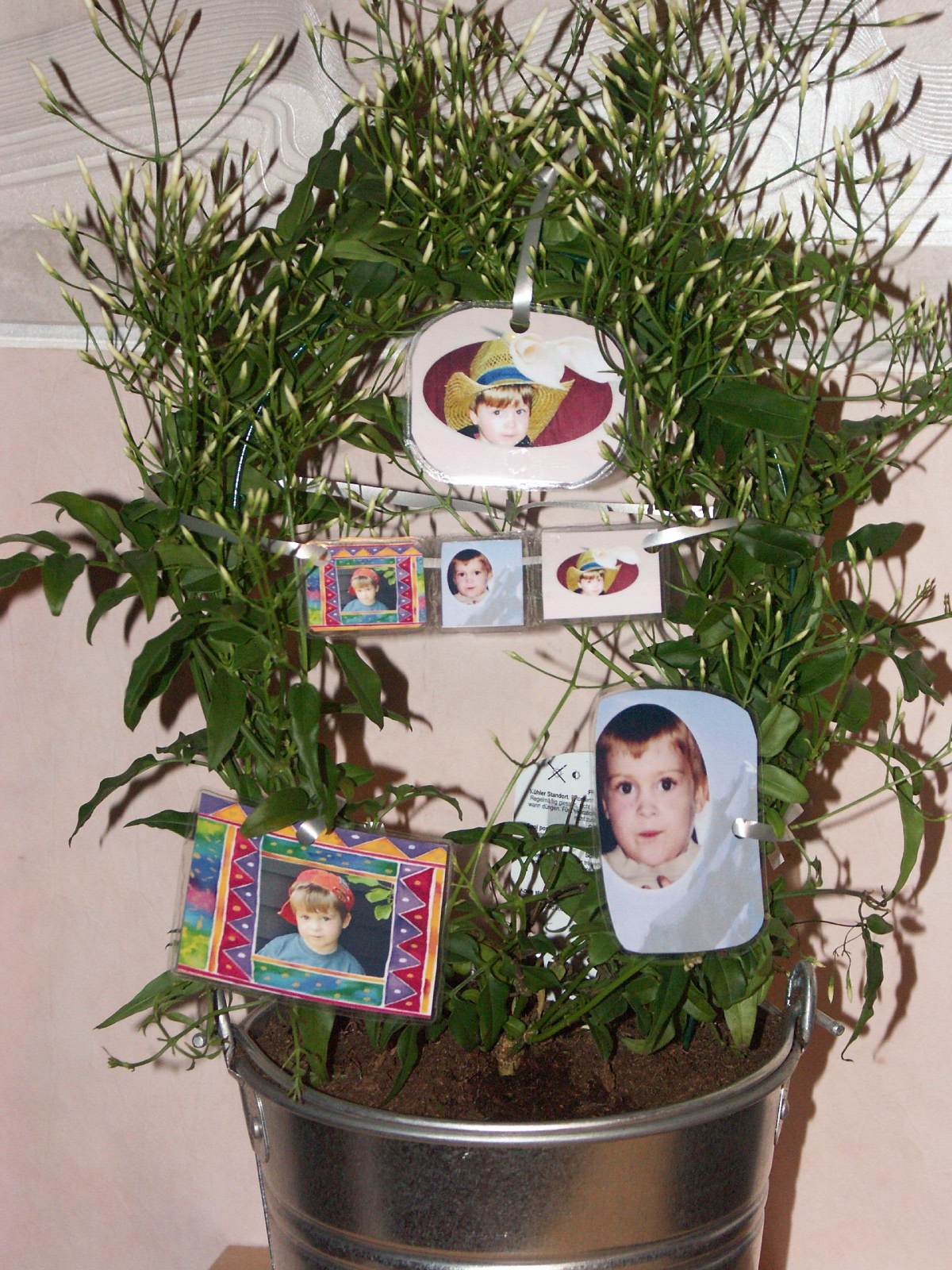 Gallery foto