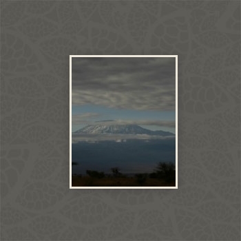 Gallery foto