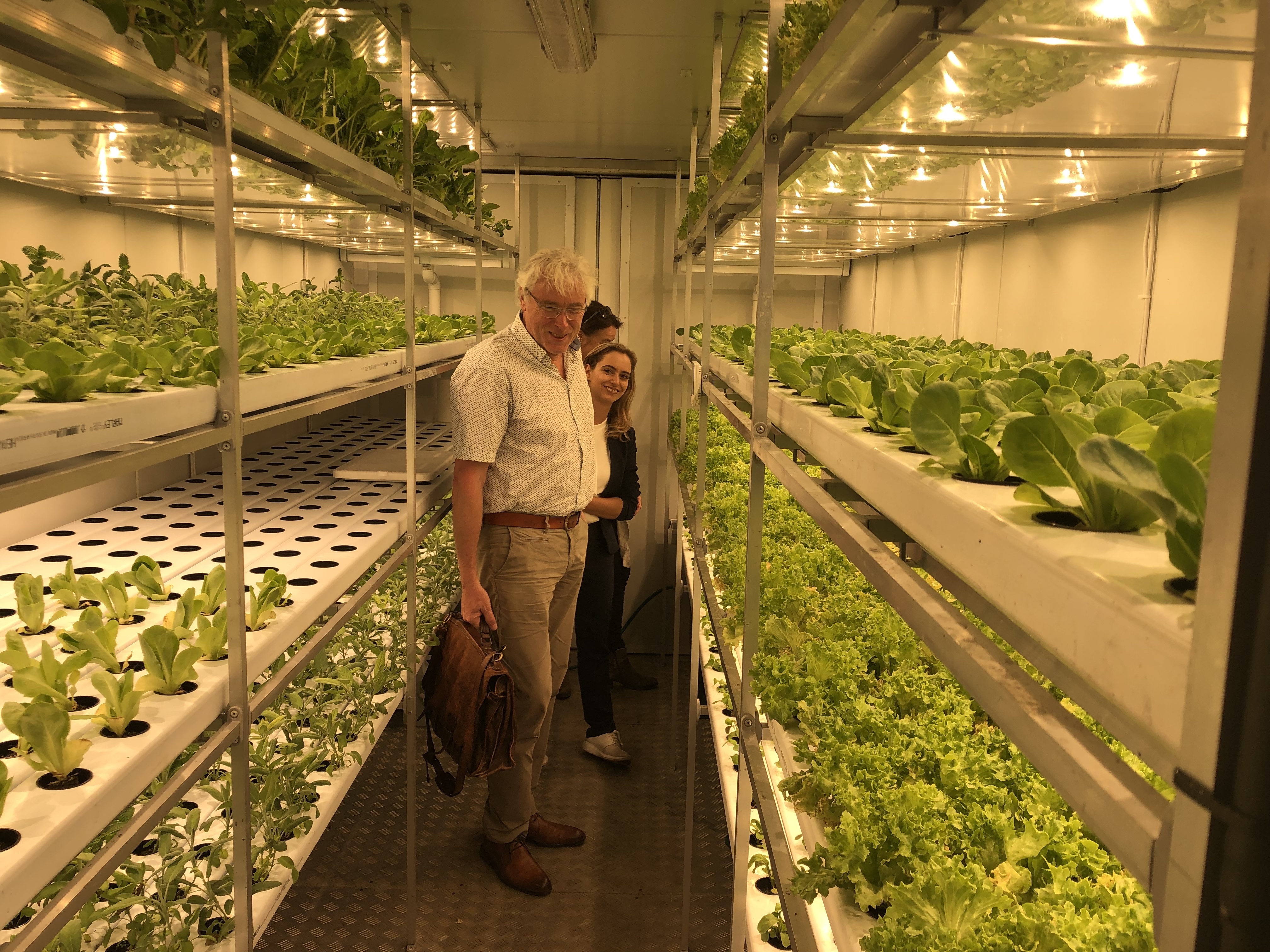 Comment image
