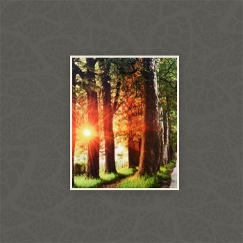 Gallery foto