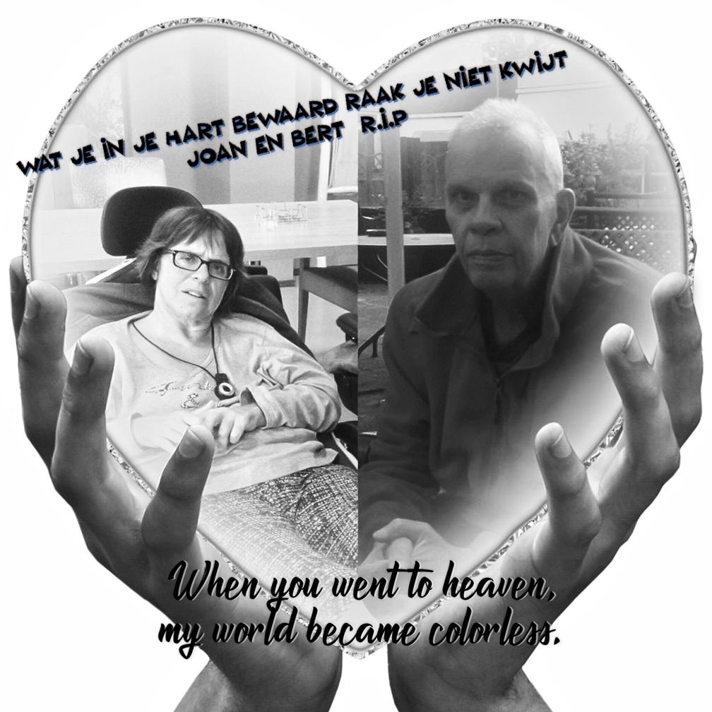 Comment image