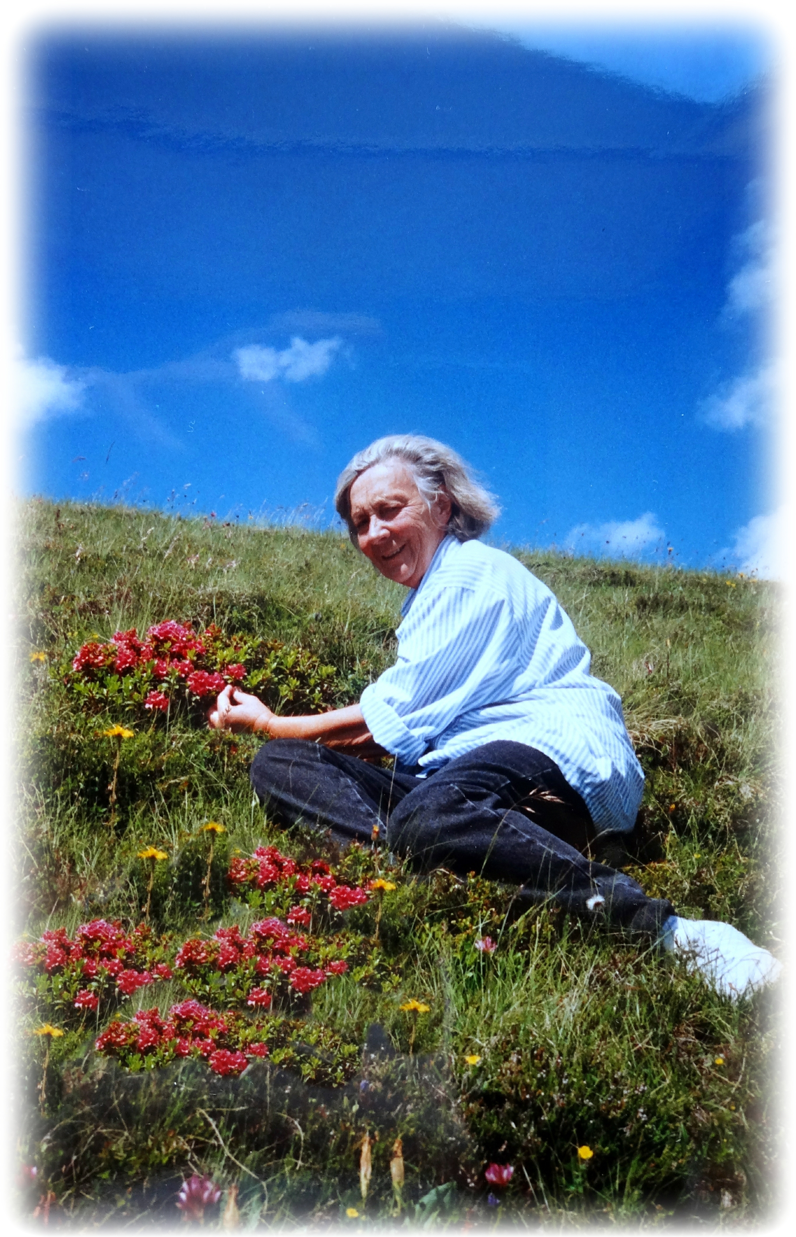 Tonia van der Zwan