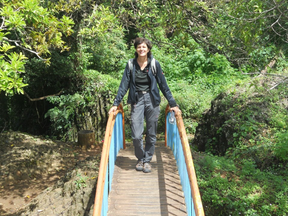 Gallery foto